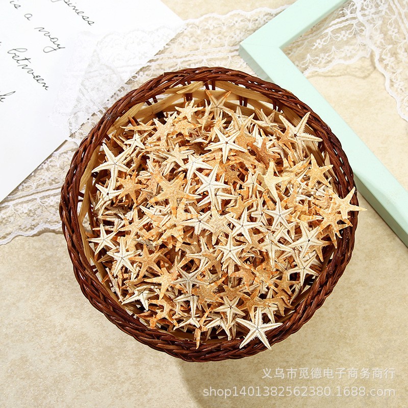 Personalized DIY classic material natural starfish shell drift bottle accessories micro landscape material mini starfish