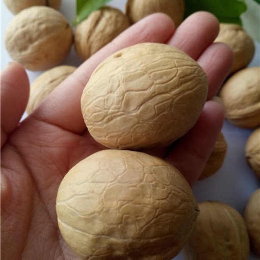 Duoduo Community Group Buying E-Commerce Best-Selling Xinjiang 185 Walnuts, Shipped from 33 Farms, Happiness Walnuts