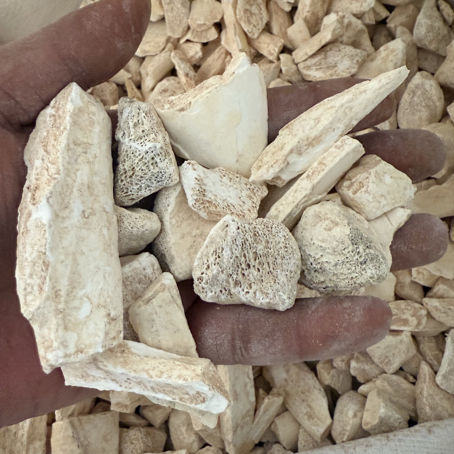 Dragon Bone, Washed Dragon Bone, Dragon Bone Herbal Medicine, Real Product Photography, Various Specifications