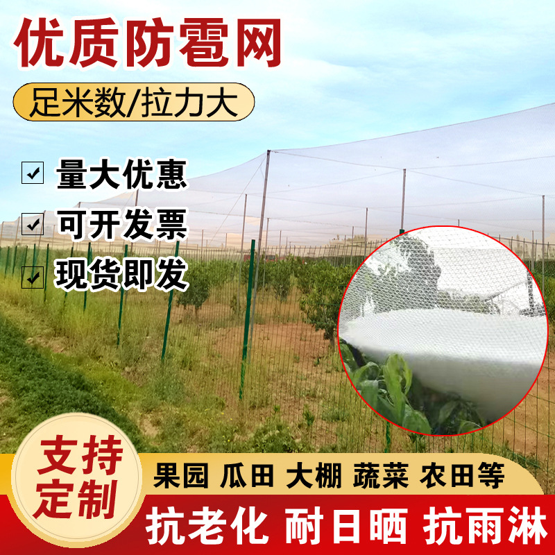 Производитель сетки от града HDPE для садов и фруктовых садов, полиэтиленовая аграрная сетка для защиты садов