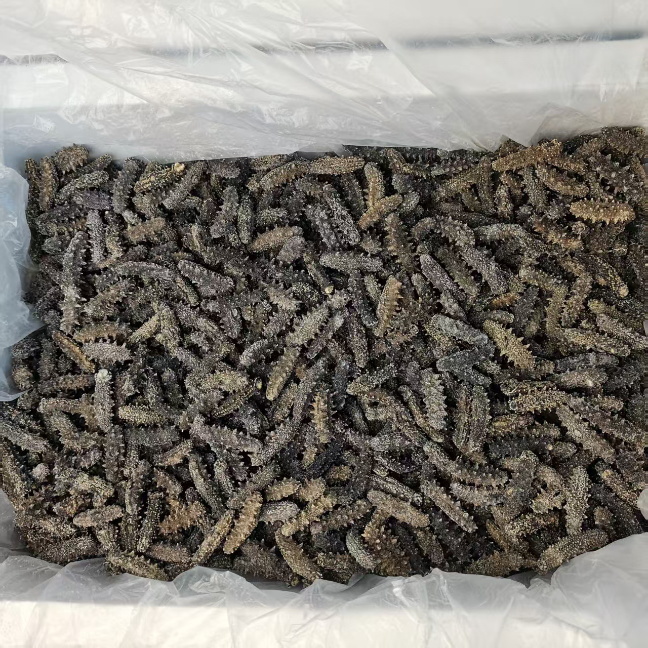 Source Wholesale Light Dried Sea Cucumber Special Price Small Sea Cucumber Dry Goods Liao Sea Cucumber Non-Ready-To-Eat Sea Cucumber Gift Box Live Broadcast on Behalf of