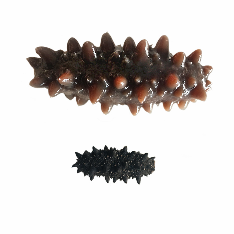 Russian wild light dry sea cucumber dry goods 50g two red six rows of sea cucumber 80% dry raw goods non-instant liaoshen