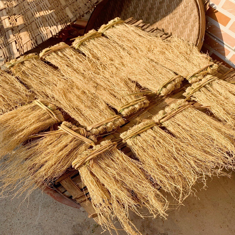 Liver grass liver grass dragon grass a generation of origin supply