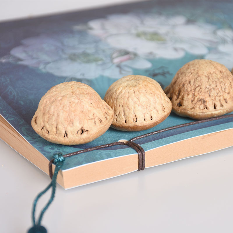 Guangxi Fengliu Guantouzi Big Fruit Genuine Yishenzi Wine Ingredients Men's Kidney Nourishing Tea Boutique