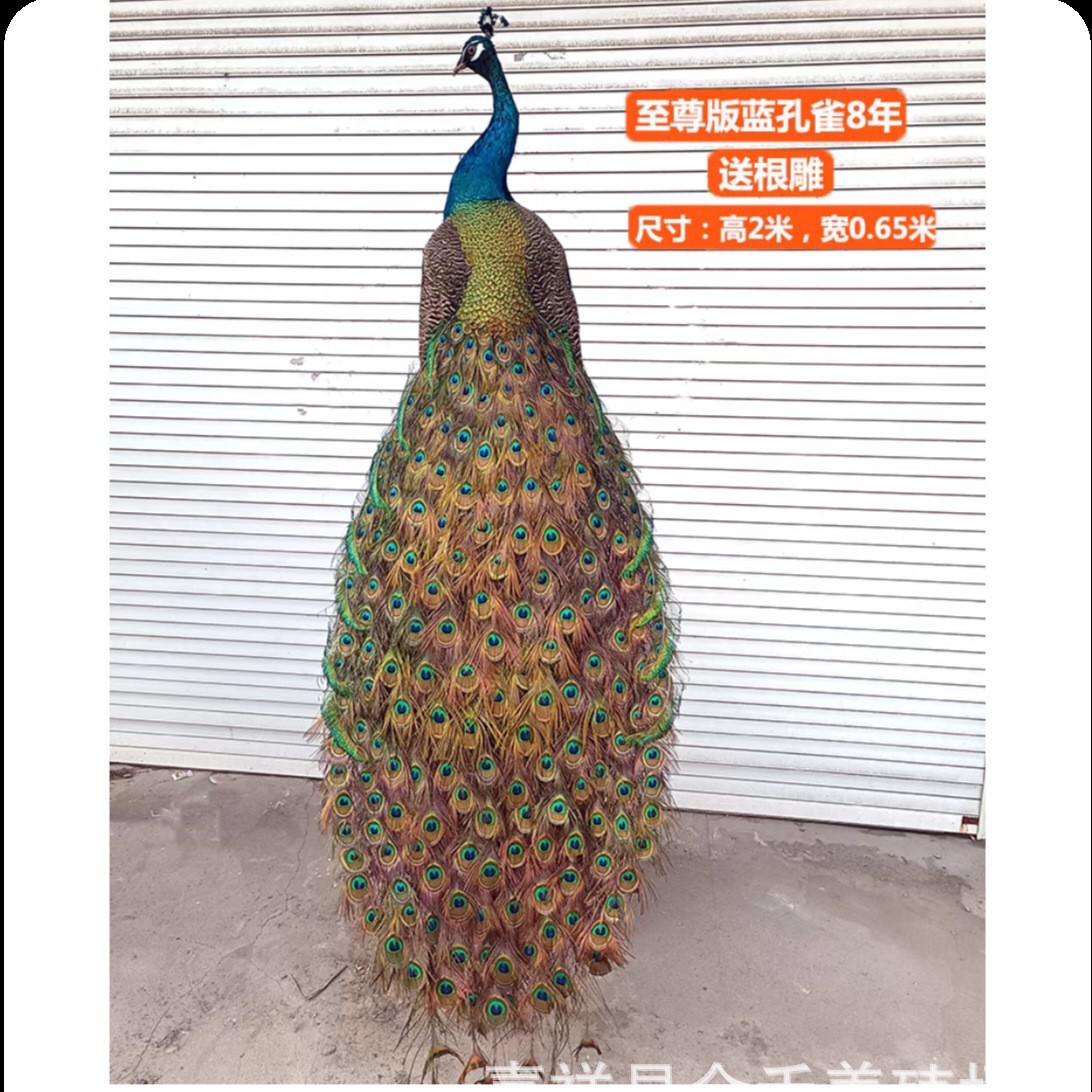 How Much Does a Handmade Peacock Specimen Cost? Wholesale Blue and White Flower Peacock Specimens for Home and Office High-End Ornaments All Year Round