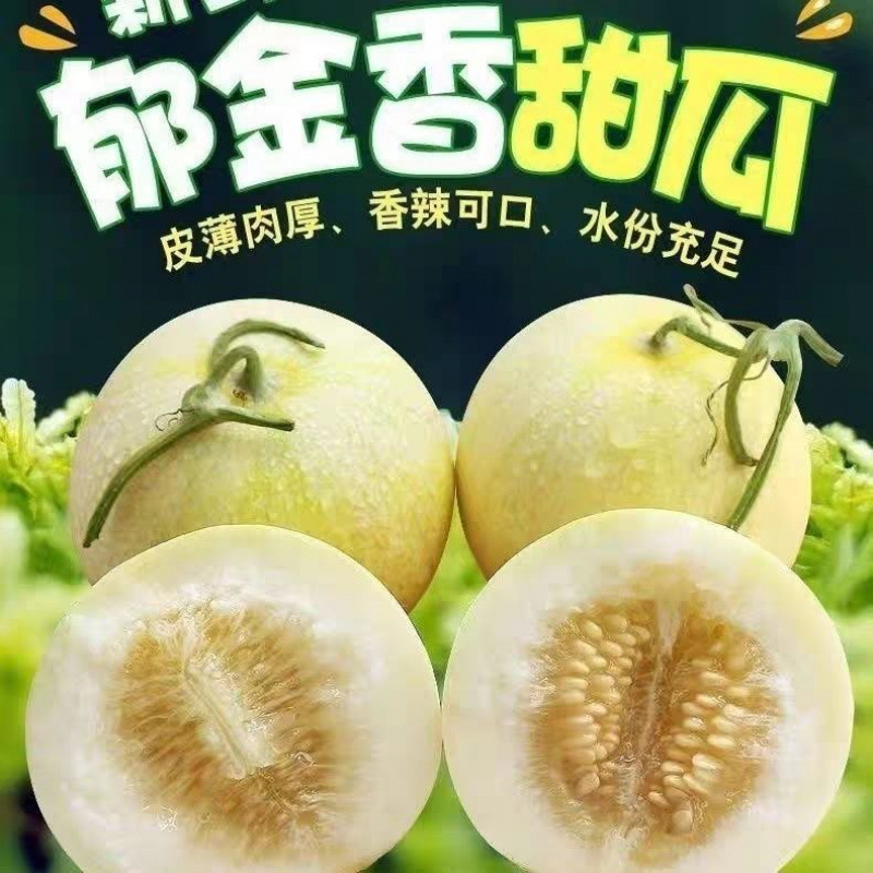 Тюльпан дыня и канталупа Юньнань, новинка, сезонный свежий фрукт, маленькая канталупа, открытый первый урожай