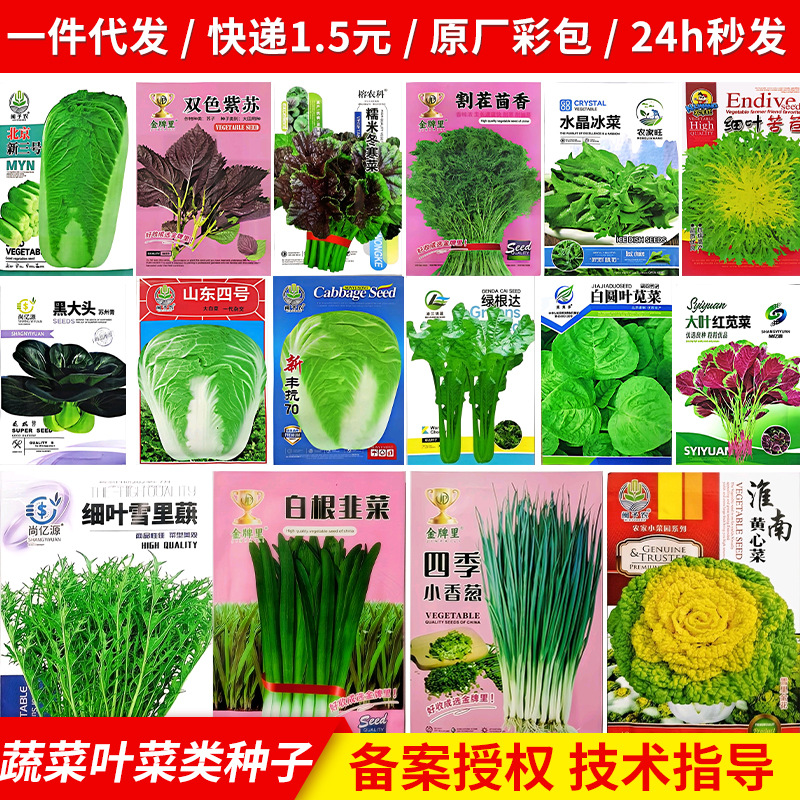 Семена овощей четырех сезонов, семена китайской капусты, высокий процент всхожести, семена рапса, оптовая продажа различных семян овощей
