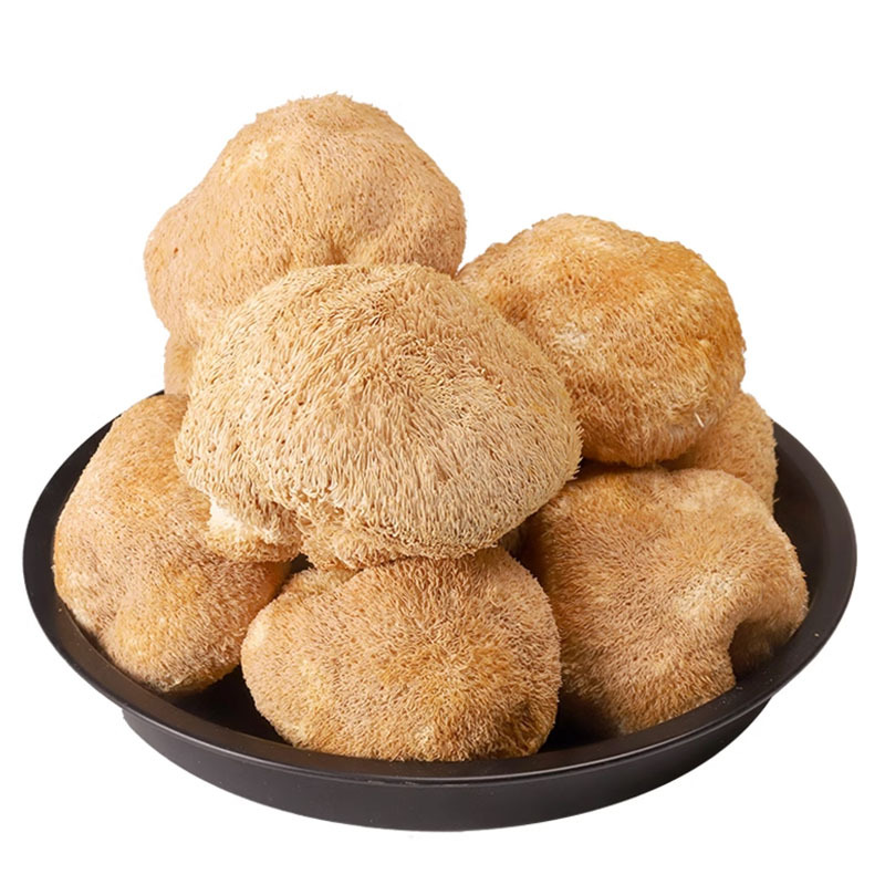 New Farm Hericium erinaceus Dry Goods Gutian Changbai Mountain Wild Hericium erinaceus Edible Mushroom Sulfur-free New Goods Can Help Powder