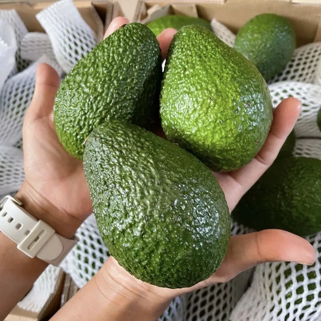 Yunnan Avocado Fresh Fruit Seasonal Whole Box Free Shipping Avocado Yunnan Avocado One-Piece Dropshipping
