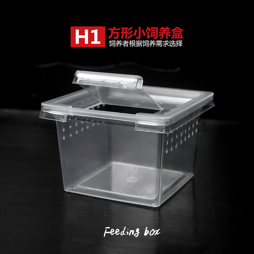 Коробка для кормления домашних животных для змей ящериц и насекомых