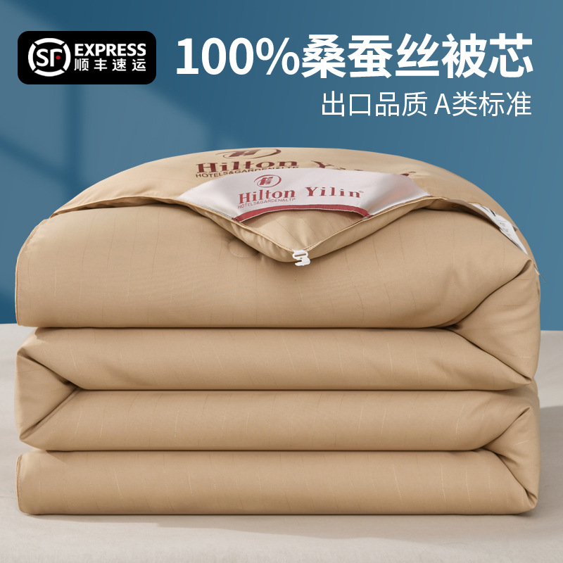 Pure Cotton Clearance Silk Quilt Mulberry Silk Quilt Spring & Fall Quilt Quilt Core Pure Cotton Air-Conditioned Summer Cool Quilt Thickeneded Winter Quilt