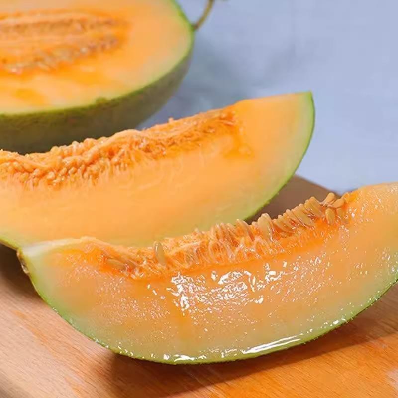 Authentic Xinjiang Hami Melon, Western Melon, Turpan Net Melon, Fresh Fruit, Seasonal Whole Box