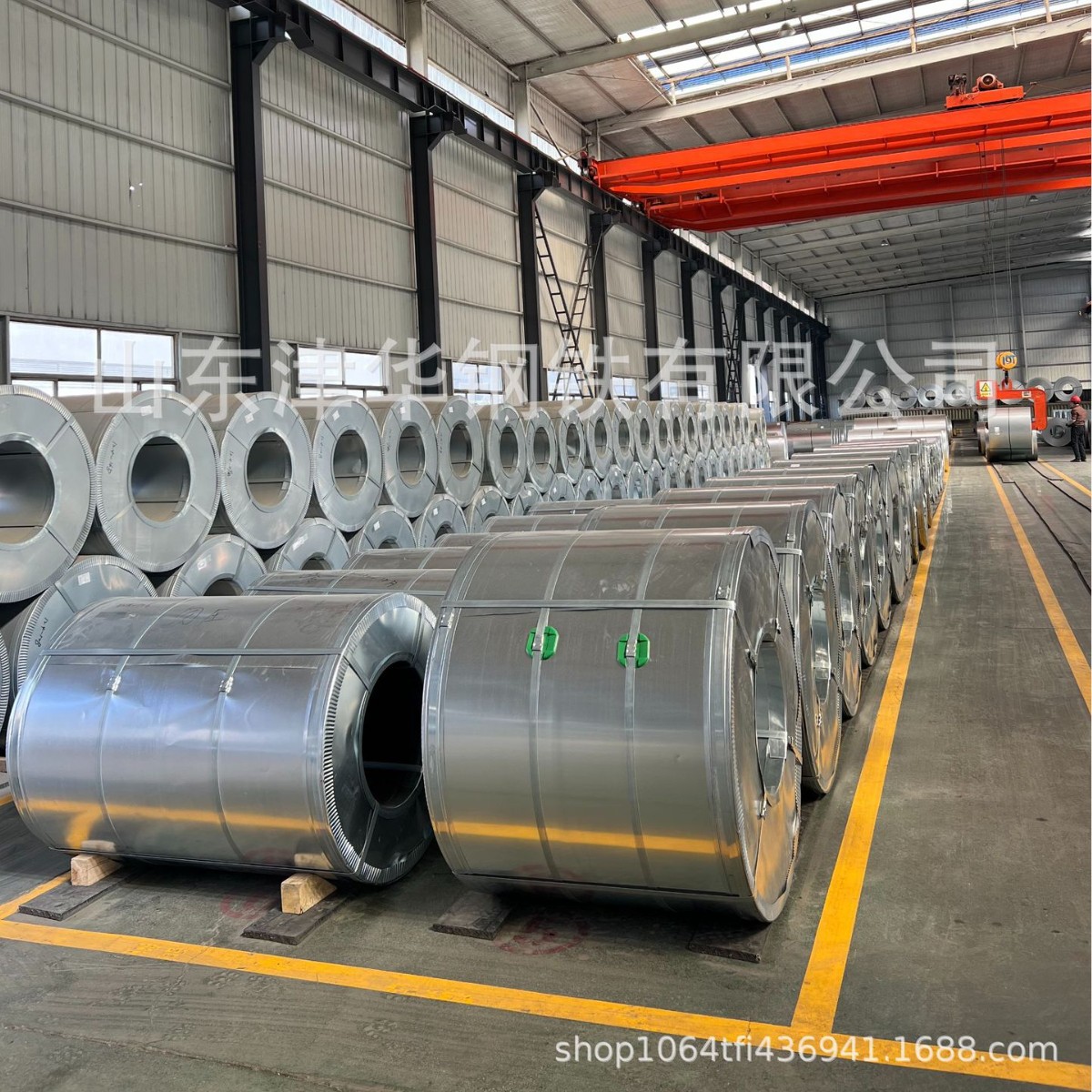 Aluminized Zinc Coils Available for Color Coating, Open-Rolled Profiles, Aluminized Zinc Coils, Aluminum-Coated Coils, and Galvanized Coils