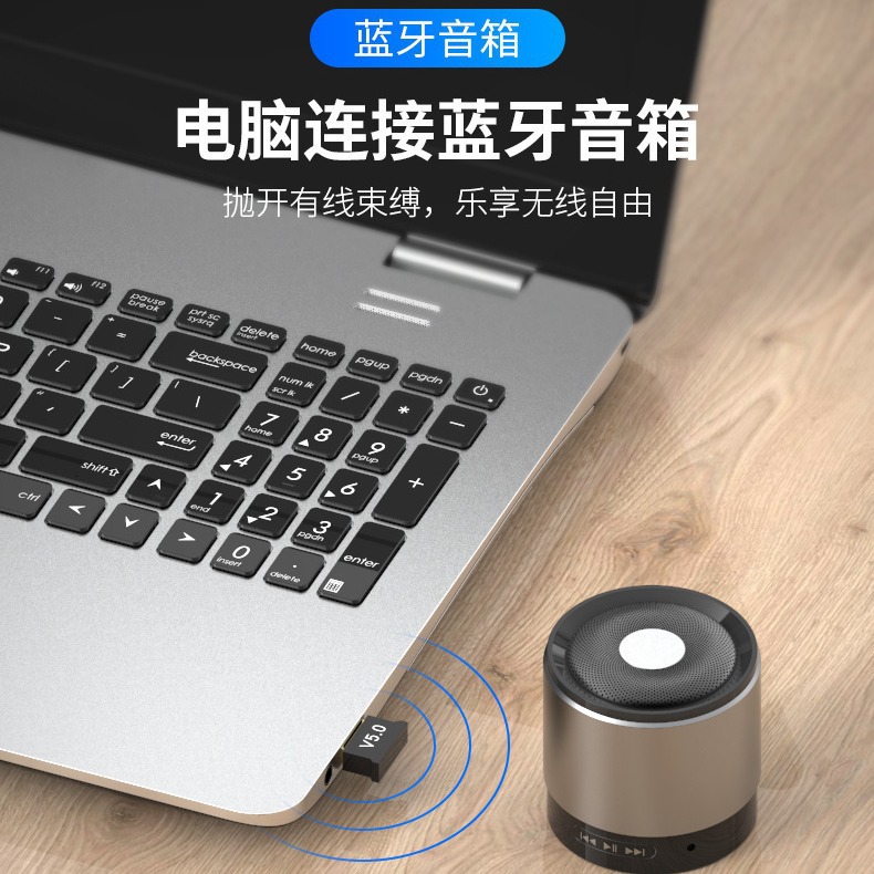 5.0 Bluetooth Adapter USB Audio Wireless Receiver and Transmitter Desktop Computer Laptop Bluetooth Stick