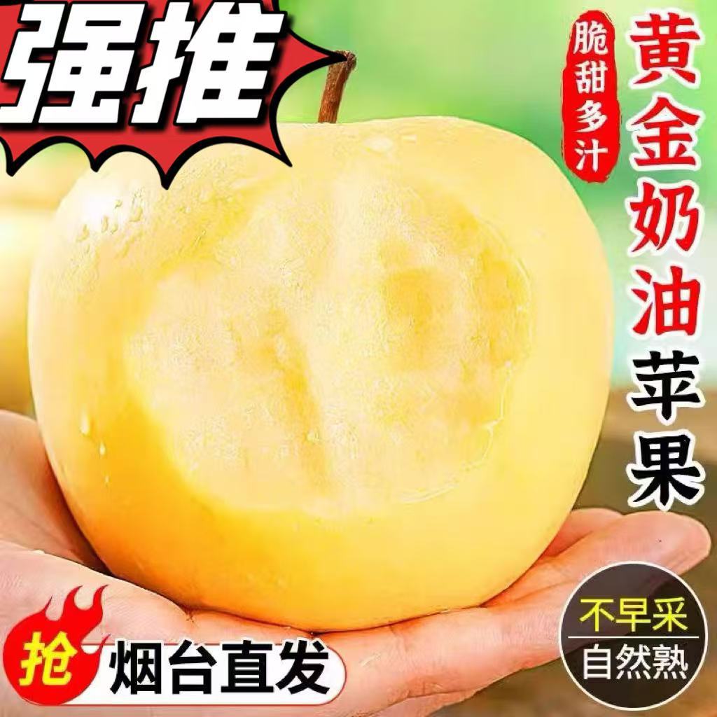 Аутентичные яблоки золотого кремового фудзи, свежие фрукты, сезонные хрустящие сладкие и сочные, целая коробка, оптовая продажа