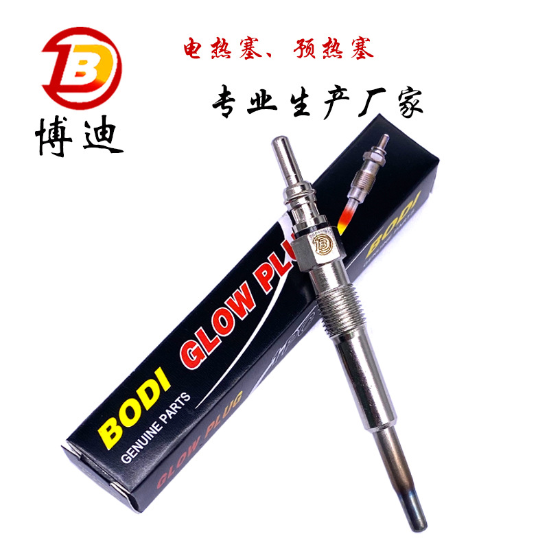 Direct Supply Double Wire Glow Plug Glow Plug 0250202022 0100226227