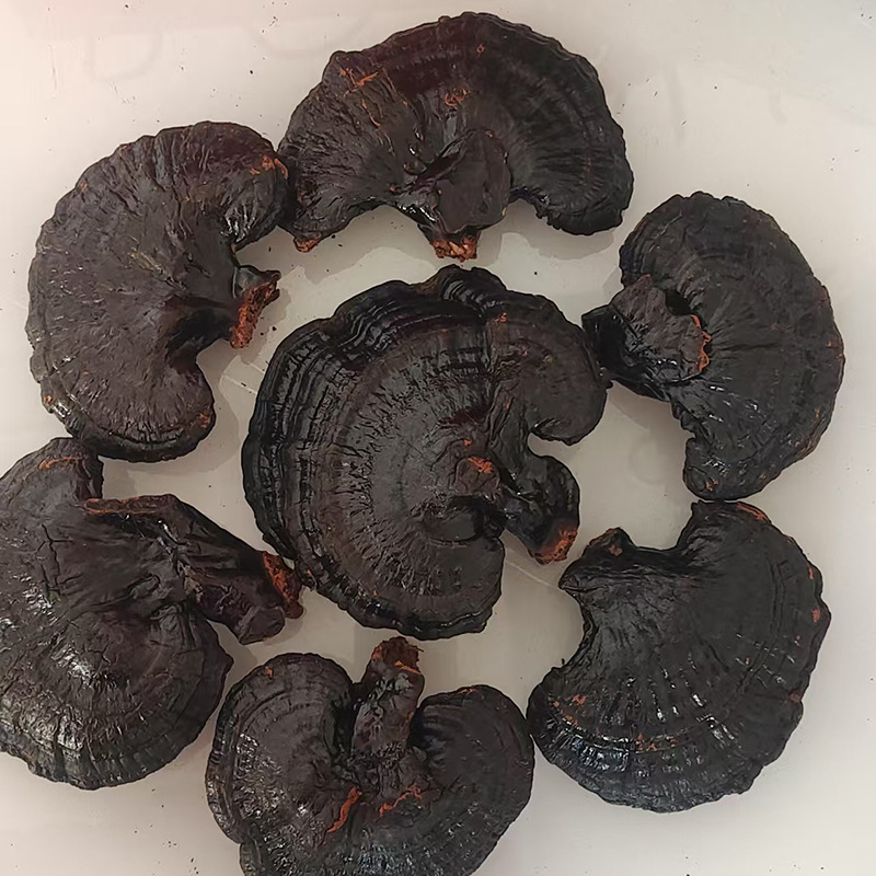 оптовая продажа не горькой черной ганодермы, фиолетовой ганодермы, красной ганодермы, ломтики черной ганодермы