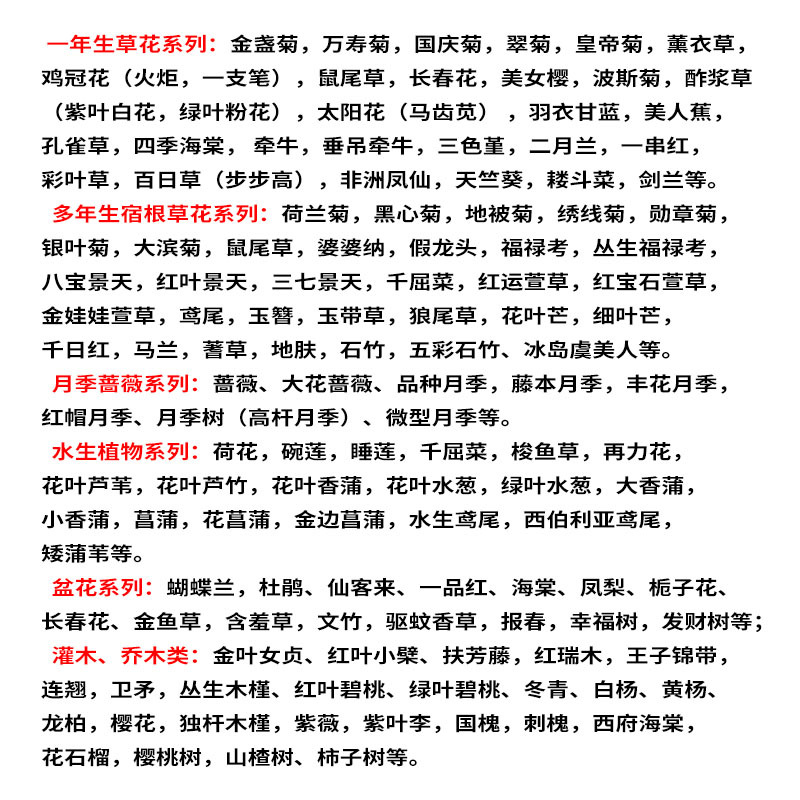 Sea of ​​Flowers, Pink and White Grass, Perennial Ornamental Grass, Landscape Plant, Sea of ​​Flowers, Hot-Selling Grass Seeds