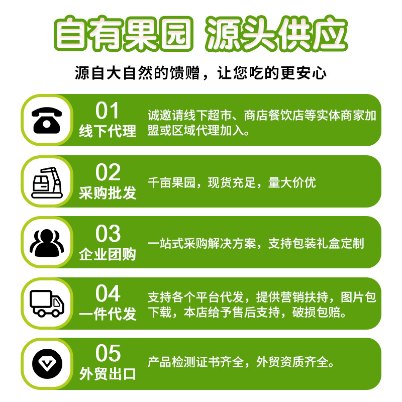 Wholesale Yantai Red Fuji Apples Fresh Apple Fruit Wholesale Crisp Sweet Red Fuji Apples Wholesale