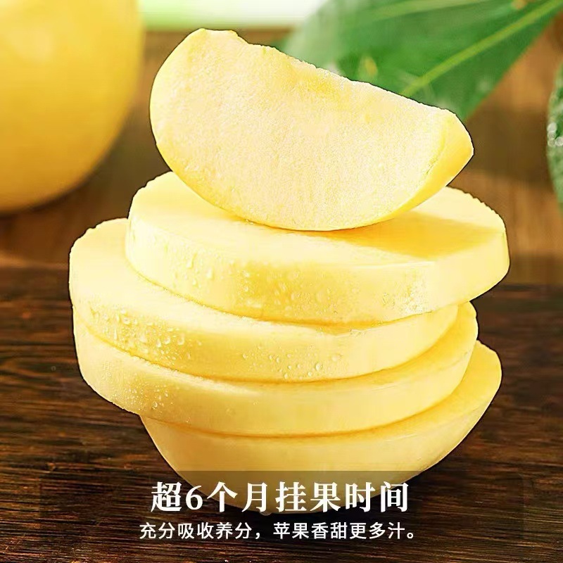 Authentic Yantai Golden Cream Fuji Apple Fresh Fruit Seasonal Rock Candy Heart Crisp, Sweet and Juicy Whole Box Wholesale