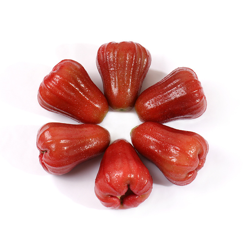 Black Diamond Lotus Mist Fresh Tropical Fruits a Whole Box of Crispy, Sweet and Juicy Mist Lotus Fruits Free Shipping Hainan Specialty