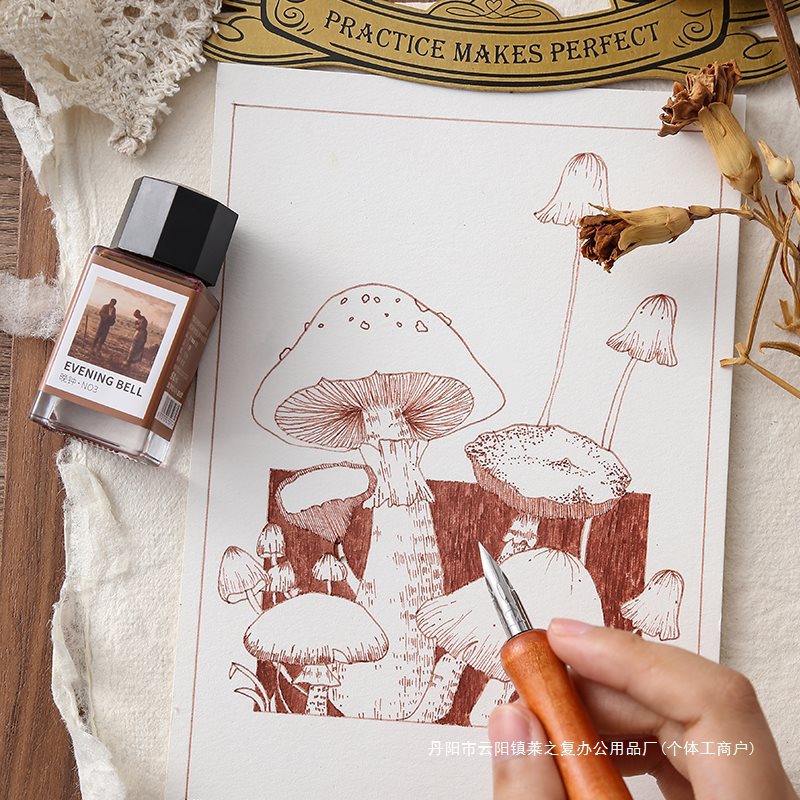 Tachikawa Pen Tip Wooden Rod Dip Pen Fountain Pen Light Color Hook Line Painting Pen Comic Watercolor Pen g Pen Tip D