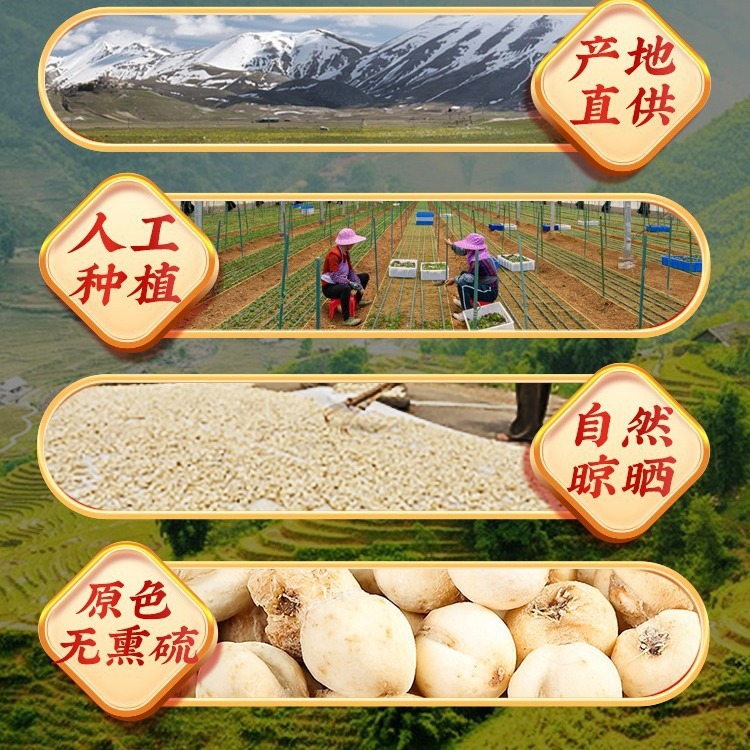 Beijing Tongrentang Fritillaria Dried Sulfur-Free Chinese Medicinal Materials Medicinal and Food Same Source Factory Wholesale Natural