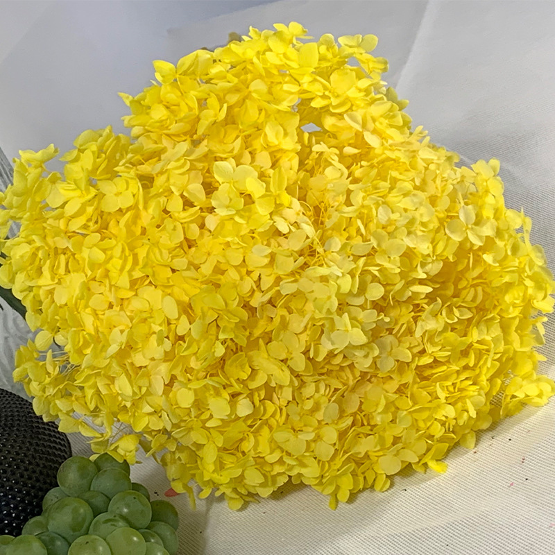 Yunnan Dried Flower Hydrangea Petals DIY Flower Wedding Bouquet Picture Frame Immortal Flower Unicorn Real Flower Romantic