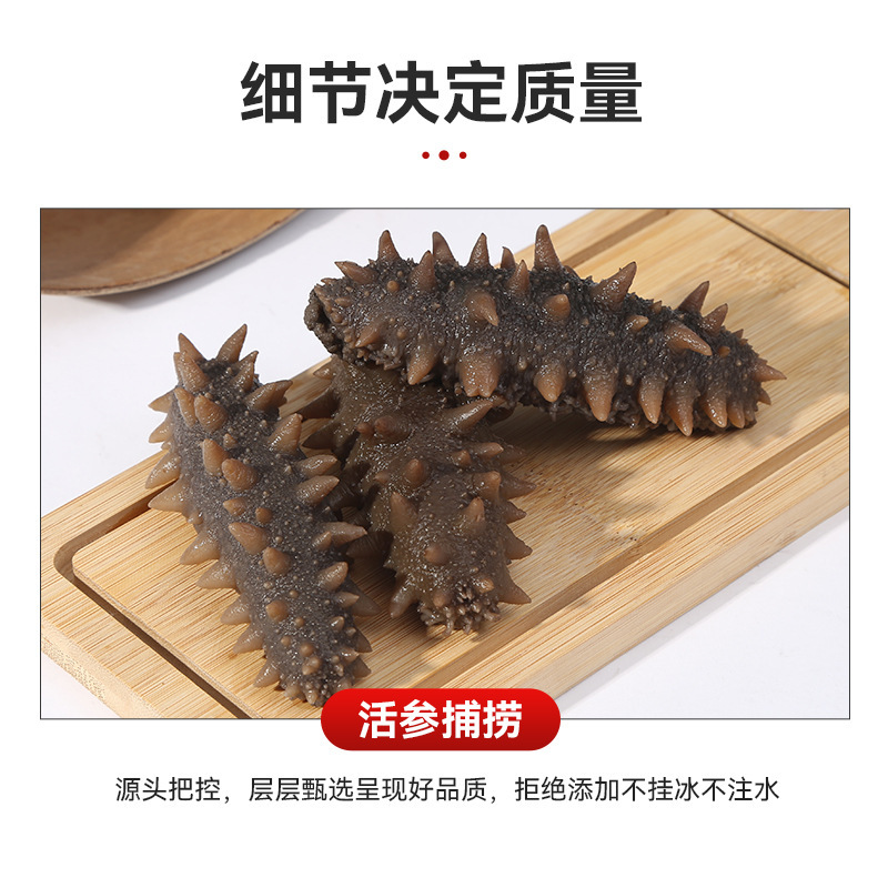 Sea Cucumber Manufacturers Wholesale Dalian Liao Sea Cucumber, Ready-To-Eat, Chewy Texture, Fresh Taste, Frozen and Fresh-Keeping
