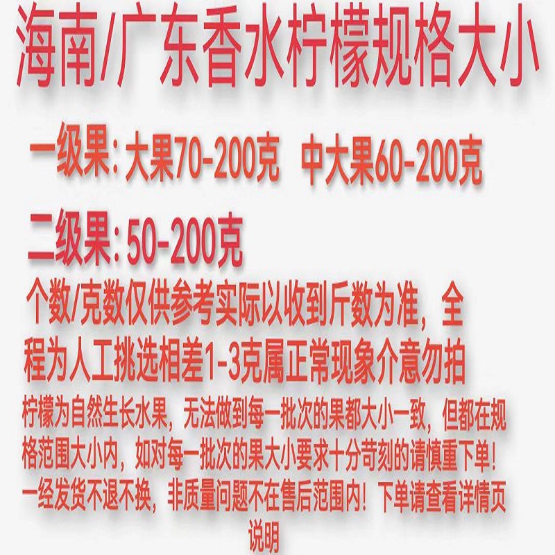 Guangdong Perfume Lemon Seedless Green Lemon Tropical Fresh Fruit First-Class Hainan Lemon Wholesale Milk Tea Shop Exclusive