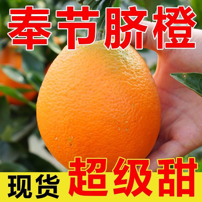 Chongqing Fengjie Newhall Tangerine Sweet 5kg Oranges Freshly Picked Fruit Gift Box 10kg Wholesale from Factory