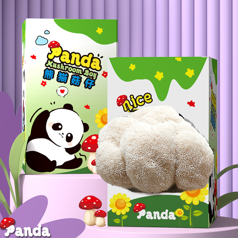 Mushroom Box Gift Box Oyster Mushroom Planting Package Edible Fungus Panda Green Plant Kindergarten Breeding Box Bagged Gift