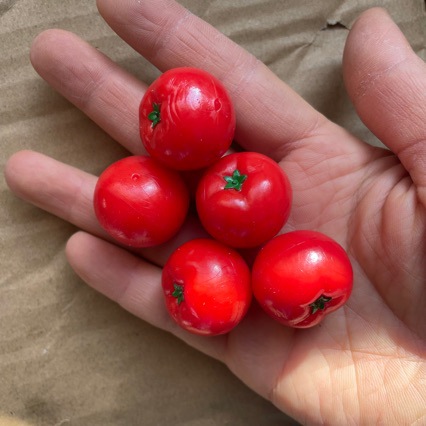 Оптовые товары, еда, игрушки, помидоры, фрукты и овощи, симулированные игрушки для игрового домика