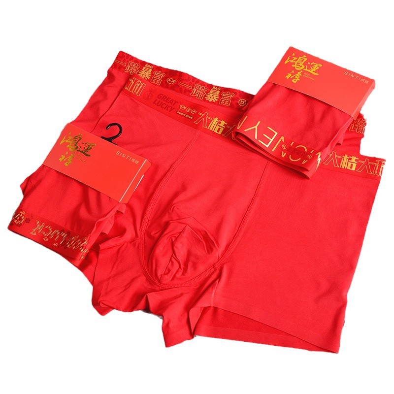 Men's Underwear for the Year of the Dragon, Big Red Modal Boxer Briefs, Seamless Silk Antibacterial Crotch Festive Red
