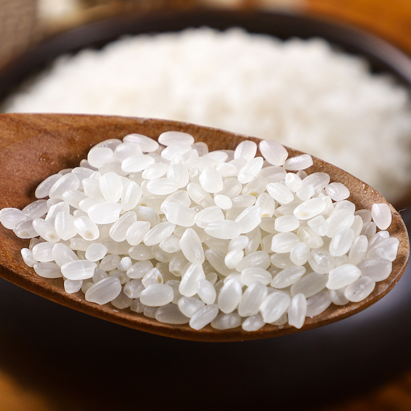 Northeast rice 10kg Heilongjiang autumn harvest new rice round pearl rice Akita Xiaoding fragrant rice factory direct batch can be distributed