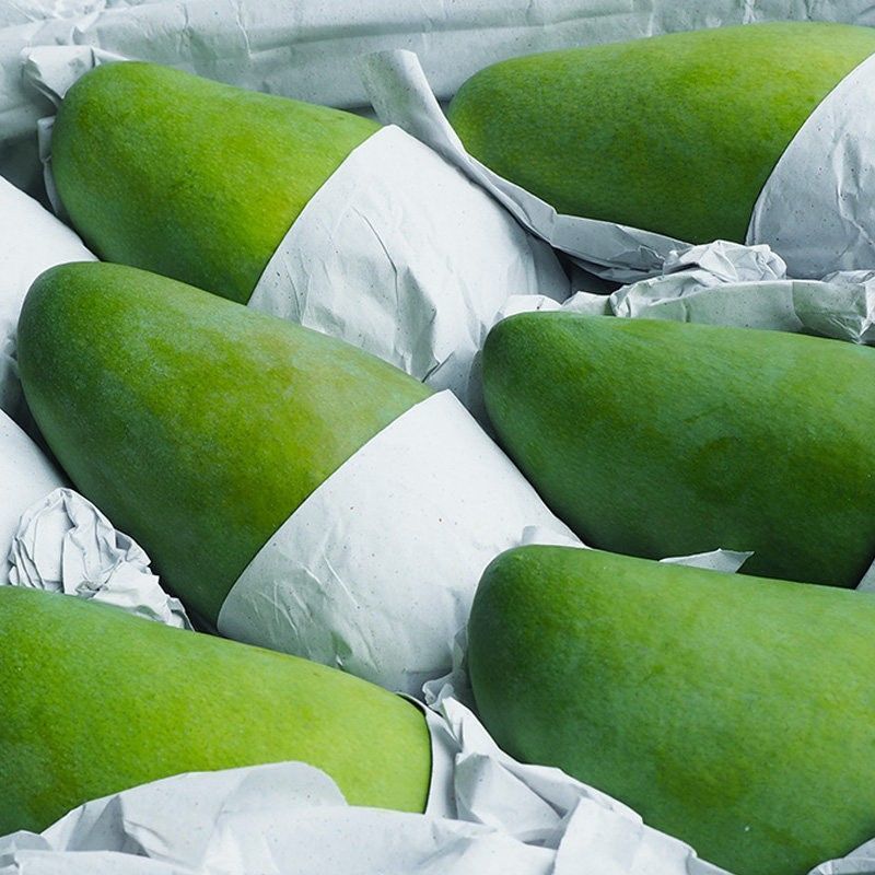Mango Seasonal Fruit Seasonal Golden Mango 5kg Sweet and Juicy Freshly Picked Thin-Skinned Kate Mango Large Green Mango