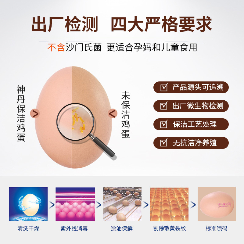 Shendan Clean Eggs 360 Pieces Wholesale Box-Packed Fresh Eggs Direct from the Manufacturer, Antibiotic-Free, Suitable for Raw Consumption, Certified Antibiotic-Free