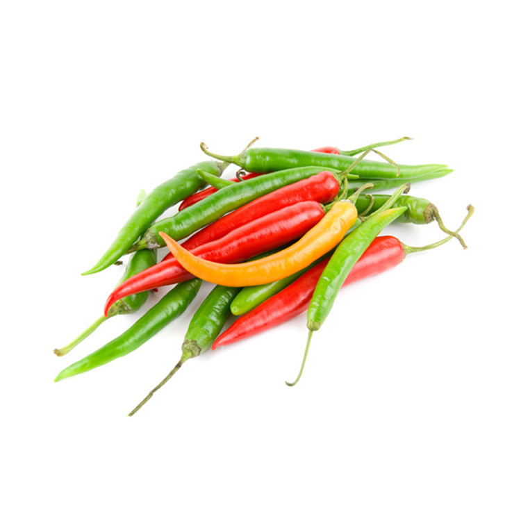 Pepper Seeds, Four-Season Pepper, Screw Pepper, Thin-Skinned Green Pepper, Line Pepper Seeds, High-Yielding Garden Potted Vegetable Seeds