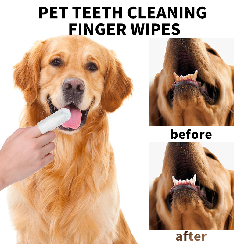 Pet Dental Cleaning Finger Wipes Disposable Finger Toothbrush for Cleaning Tartar Oem Private Label Gum Protection Pet Dental Cleaning