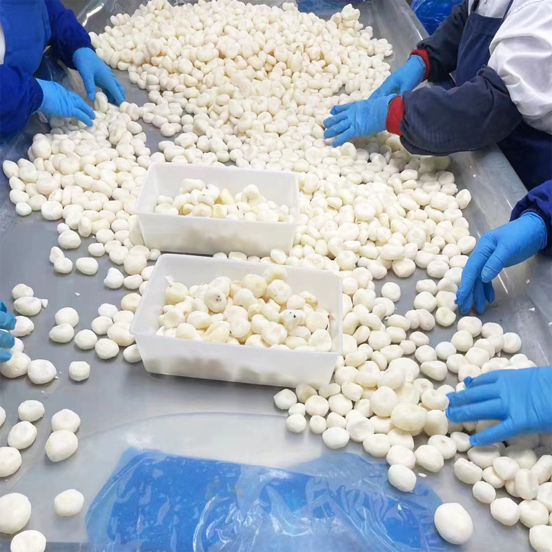 Wholesale High-Quality Frozen Water Chestnut Cubes, Water Chestnut Popping Beads, Water Chestnut Diced Pieces, Dumpling Filling, Bun Filling, Lion's Head Meat Filling Ingredients