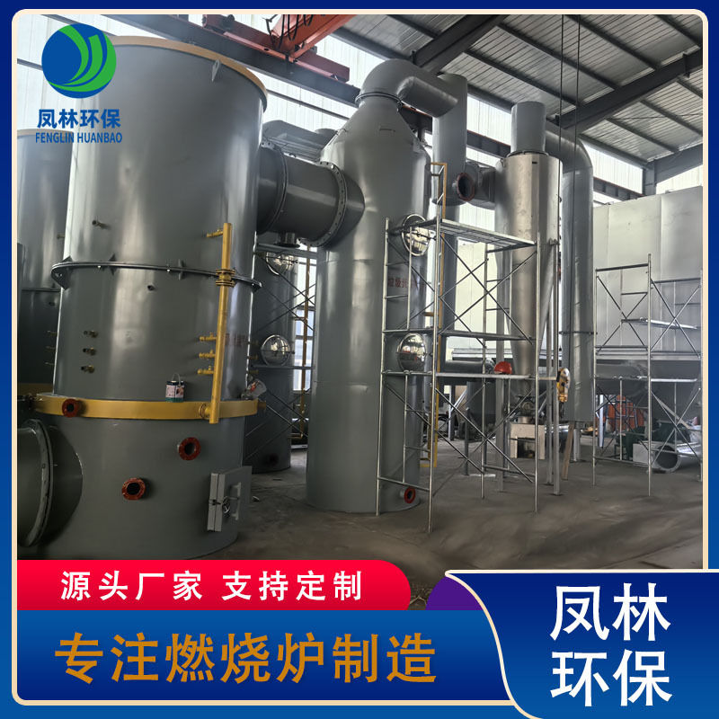 Large Energy-Saving and Environmentally Friendly Incinerator Farm Waste High Temperature Thermal Incinerator 100kg Garbage Incinerator