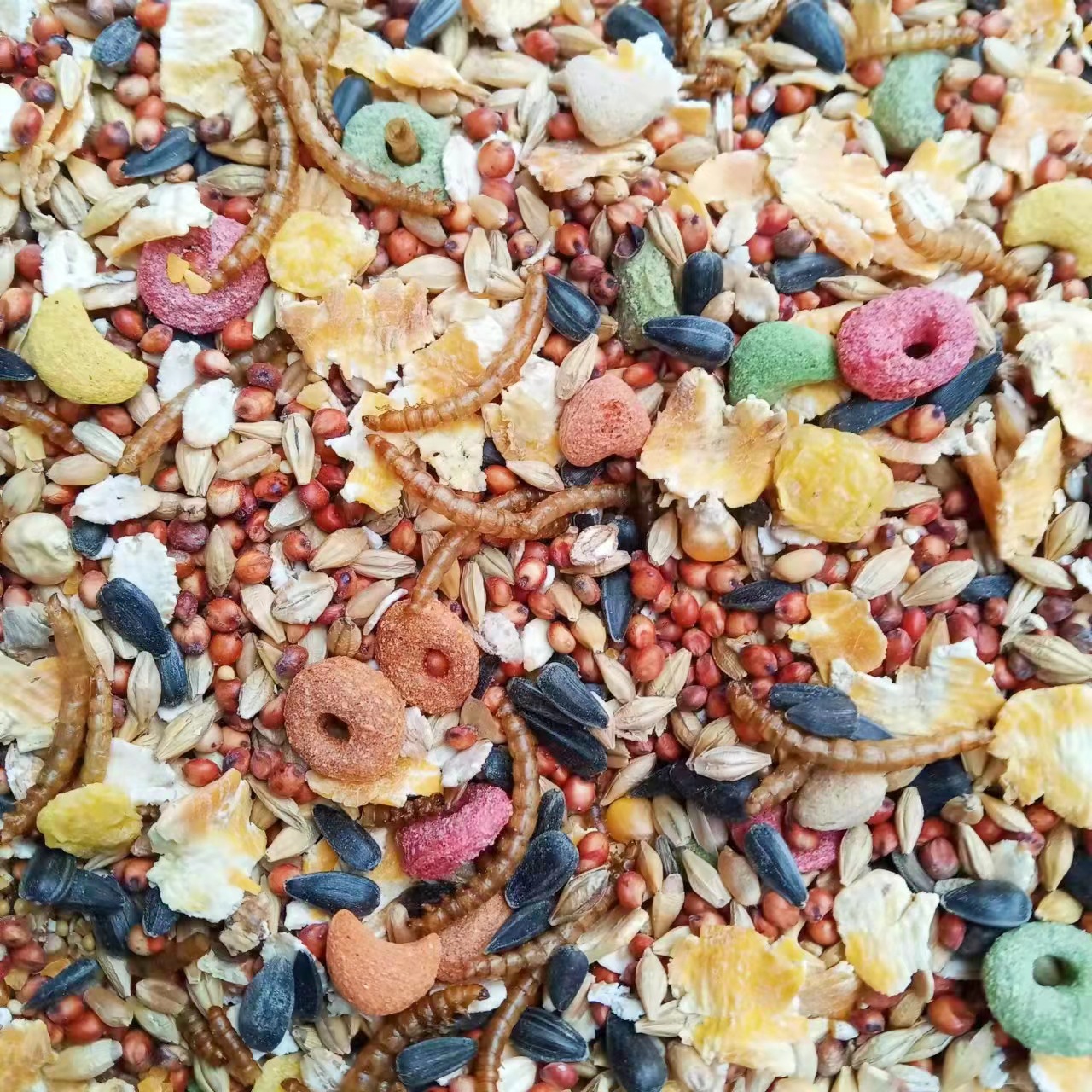 Bulk Hamster Grain Wholesale Grain Seafood Insect Dried Fruits and Vegetables Self-matching Hamster Grain Bulk Grain Weighing Jin Sales Spot