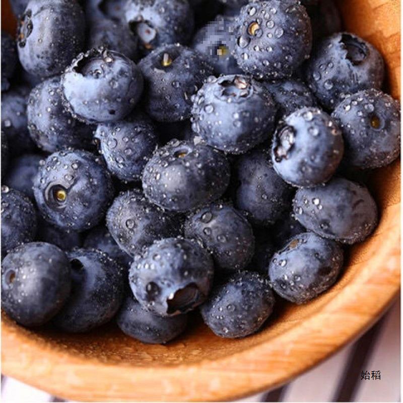 Blueberry 8 Boxes of Fresh Fruit for Pregnant Women and Babies, Fruit Snacks, Blue Plum Sf Snacks, Binge-Watching Snacks, Cross-Border Shipping