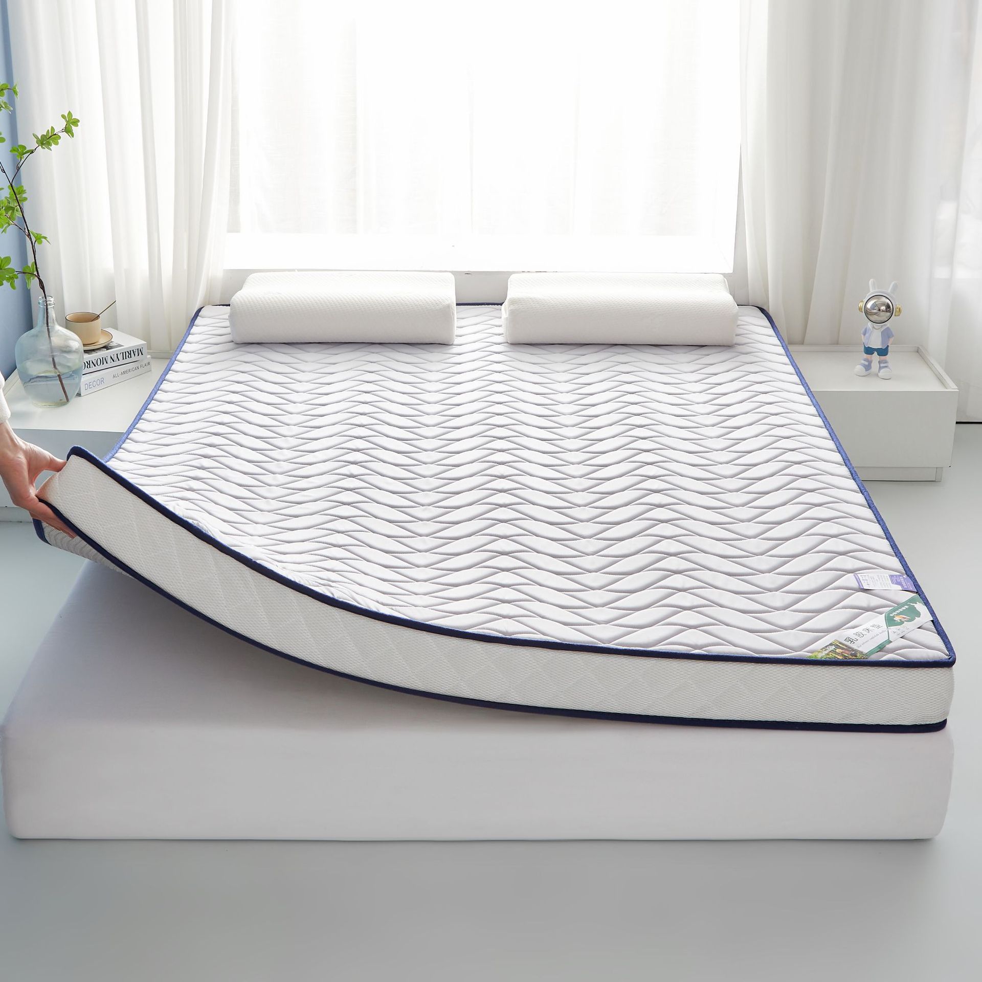 F Dormitory Floor Mat A-Grade Latex Mattress Pad Home Use Single and Double Tatami Thickened Student Soft Mat