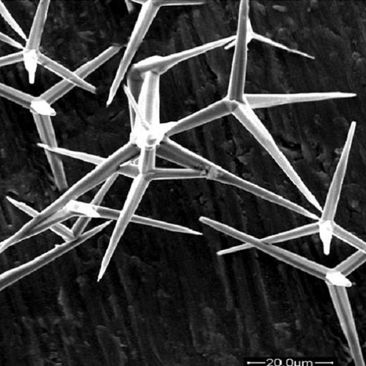 [Southwest Jiaotong University] Direct Sales of Four-Pronged Oxidizing Whiskers, Antibacterial, Anti-Mold, and Formaldehyde-Removing Active Zinc Oxide