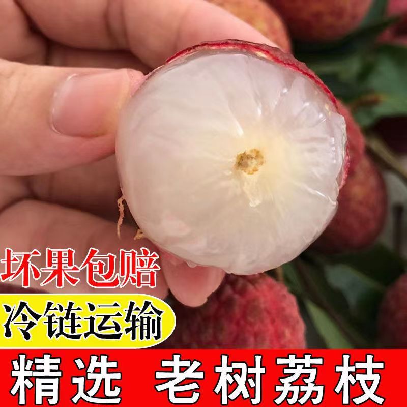 Freshly Picked Lychees, 3kg Packs of Old Tree Black Leaves, Seasonal Fruits for Pregnant Women, Maoming Gaozhou, Whole Box, Free Shipping 2.5kg