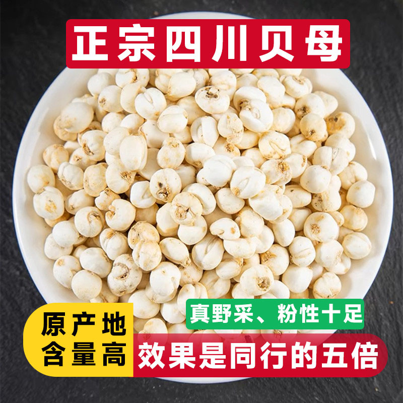 Wholesale of Genuine Wild Sichuan Fritillary Chinese Medicinal Materials from Sichuan Origin, Fritillary Powder for Soup and Stewed Pear Soup