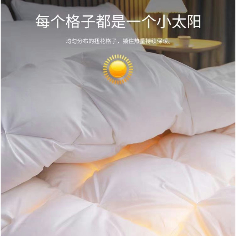 95 Duvet genuine goods Cotton White Goose Down Quilt Five-star Hotel Quilt Core Winter Thickened Cotton Down Quilt Core