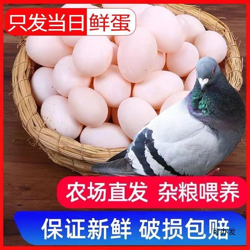Farm-Raised Free-Range Fresh Pigeon Eggs, 30 Pieces, Suitable as Supplementary Food for Pregnant Women and Babies, Mixed Grain Feeding, White Pigeon Eggs, Pigeon Eggs, Pigeon Eggs