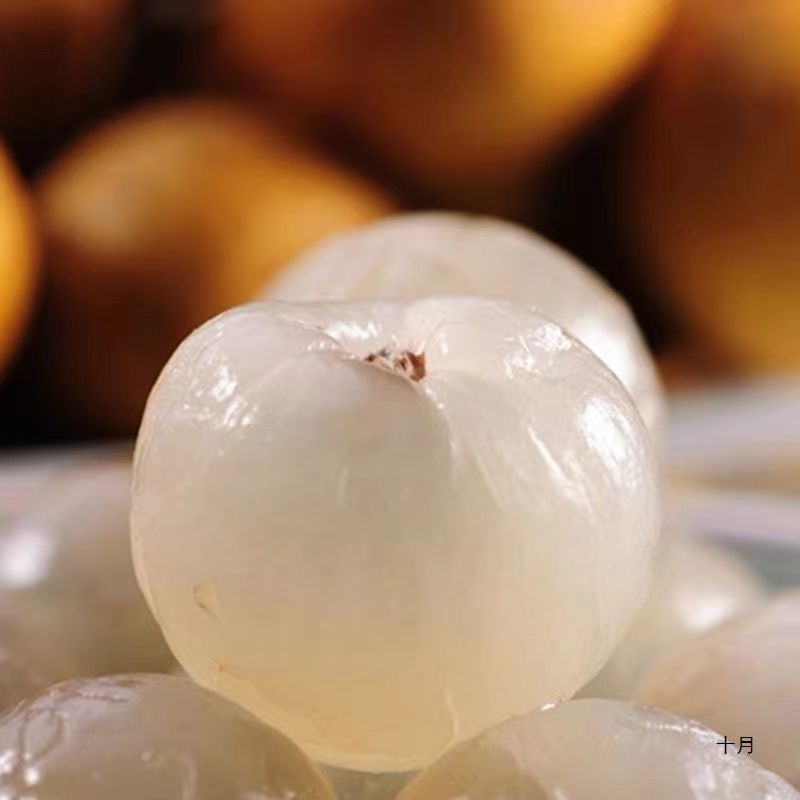 Sf Express Air-Shipped Fresh Longan from Guangdong Gaozhou Shi Xian Chu Liang Longan Super Sweet Whole Box Fruit Factory